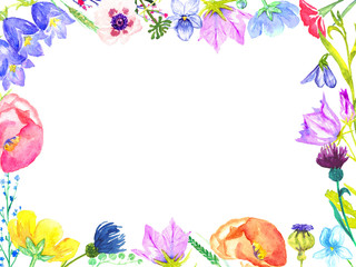 Horizontal frame of colorful wild flowers: bellflowers, violets, forget-me, cornflower, poppies (forest and meadow), hand painted watercolor, design with place for text (greetings or invitations)