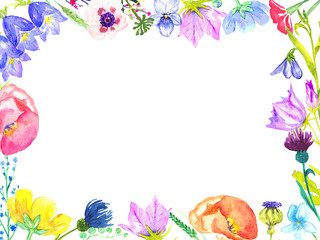 Obraz premium Horizontal frame of colorful wild flowers: bellflowers, violets, forget-me, cornflower, poppies (forest and meadow), hand painted watercolor, design with place for text (greetings or invitations)
