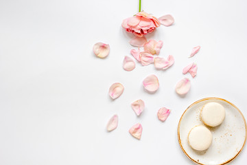 flat lay with petals and macaroons on white background top view mockup