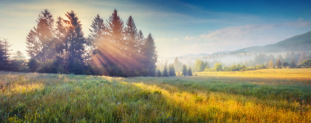 Fantastic summer scene