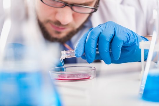 Man researcher carrying out scientific research.
