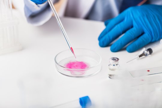 Man researcher carrying out scientific research.