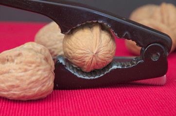 Break the walnut
