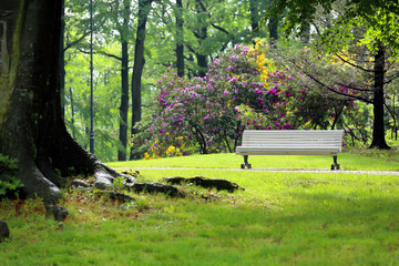 Empty white bench in the park