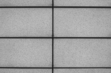 Facade Composite Panels as Background. Symmetry. Black and white photo