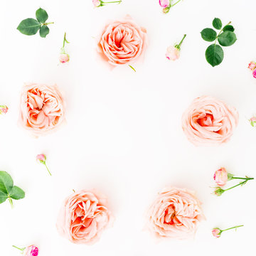 Floral frame with pink roses isolated on white background. Flat lay, top view. Floral background. Round