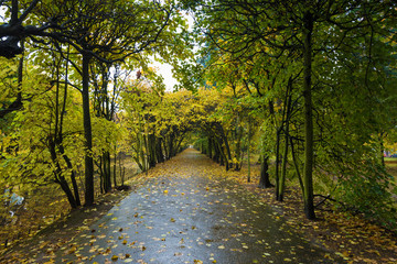 Jesień w Parku Oliwskim. Gdańsk