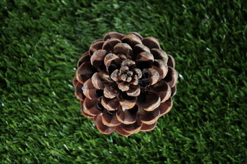 bump on the grass
