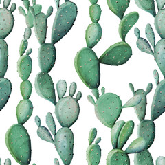 Watercolor cactus tropical garden seamless pattern. Watercolour cactus