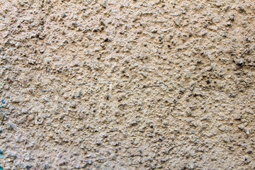 Concrete Rustic Wall