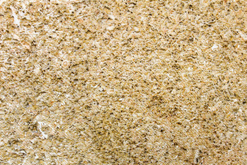 Concrete Rustic Wall