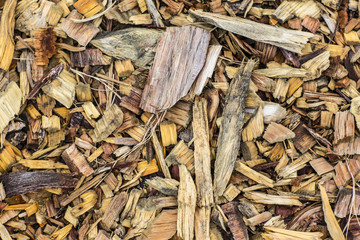 wood texture