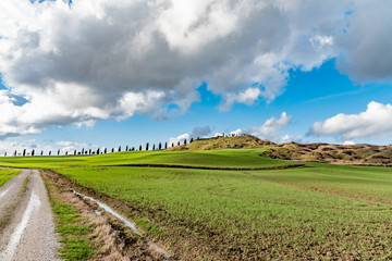panorama of the hills of Siena in winter