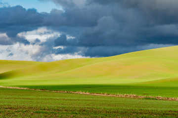 panorama of the hills of Siena in winter