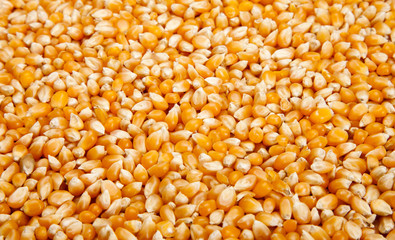 Approach to raw corn to detail