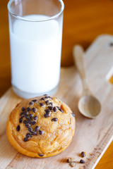 Chocolate chip bun