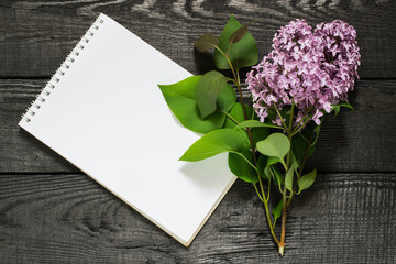 Medicinal plant lilac (Syringa) and notebook