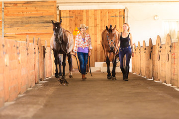 Cowgirl and jockey walking with horses in stable