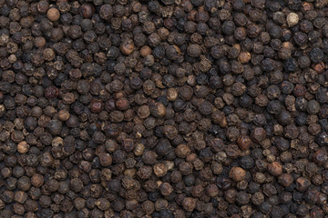Spice peppercorn background