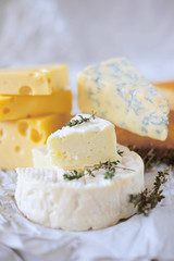 Cheese plate with different kinds of cheese