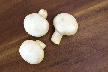 Button mushrooms (Agaricus bisporus)