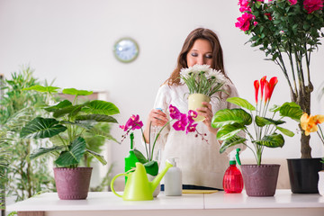 Fototapeta premium Young woman looking after plants at home