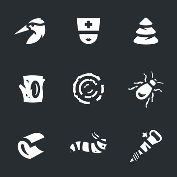 Vector Set of Woodpecker Icons.