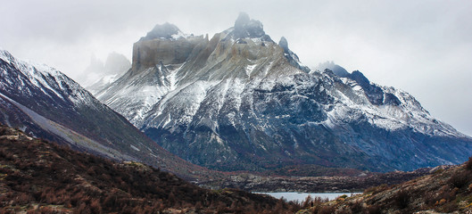 After the fire in Torres del Paine National Park, Patagonia, Chile