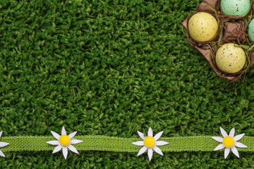 Naklejka premium Easter spring eggs with flowers dasies on green grass