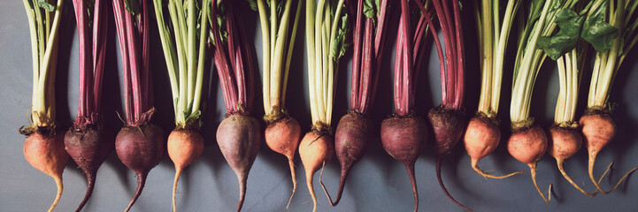 Mix of red and gold beets on grey background. Food background. Concept of healthy eating