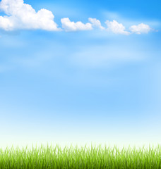Fototapeta na wymiar Green grass lawn with clouds on blue sky