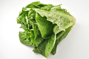 ロメインレタス
