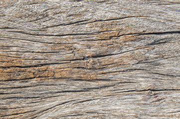 Cracked wood texture background