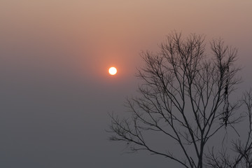 The morning sun in summer and mountain.