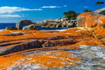 Bay of Fires Tasmania