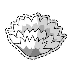 Obraz premium single flower icon image vector illustration design