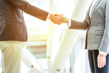 shake hands, business greeting concept
