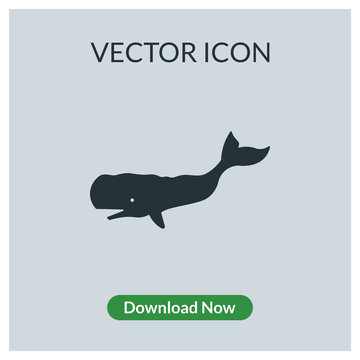 Whale vector icon