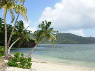 Fiji Beach