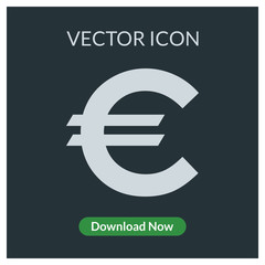 Euro vector icon