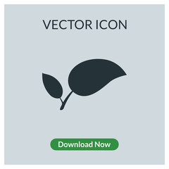 Leaf vector icon