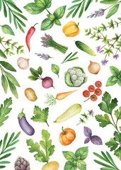 Watercolor vegetables and herbs isolated on white background.