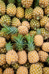 sweet Thai pineapples lie on a counter