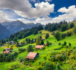 Obraz premium Colorful summer view of Wengen village.