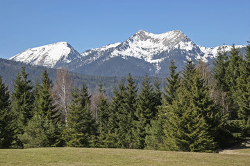 Fototapeta na wymiar Krottenkopf im Estergebirge