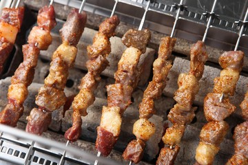 Lamb kebab