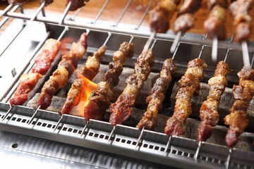 Lamb skewers 