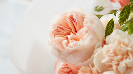 Roses on white background
