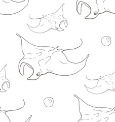 batoidea pattern on white background