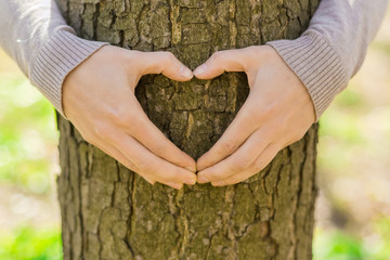 Female hands making an heart shape on a trunk of a tree
